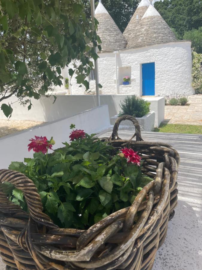 로코로톤도 Trulli Mancinella 빌라 외부 사진