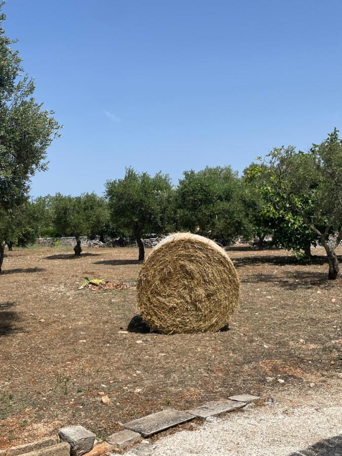 로코로톤도 Trulli Mancinella 빌라 외부 사진