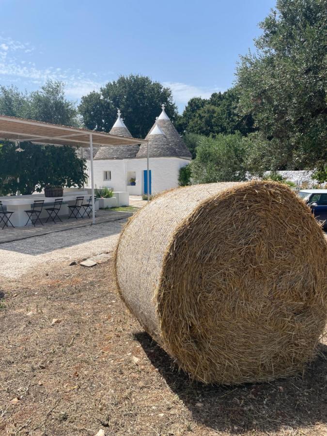 로코로톤도 Trulli Mancinella 빌라 외부 사진